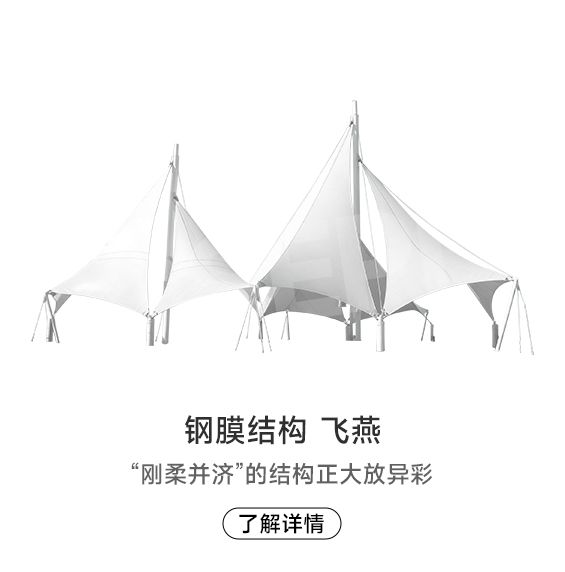 膜結(jié)構(gòu) 飛燕